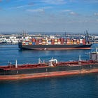 MSC, COSCO, HMM and Other Container Giants Are Quietly Building Crude Tanker Fleets. What's the Strategy?