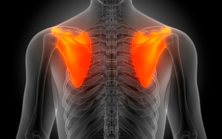 Aplicação do Método Pilates na Estabilidade Escapular - Blog Pilates - O  maior blog de Pilates do Brasil