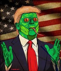 The Lizard King The Lizard King