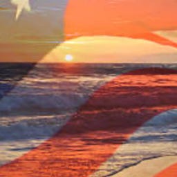 The Tony Seruga Dispatch