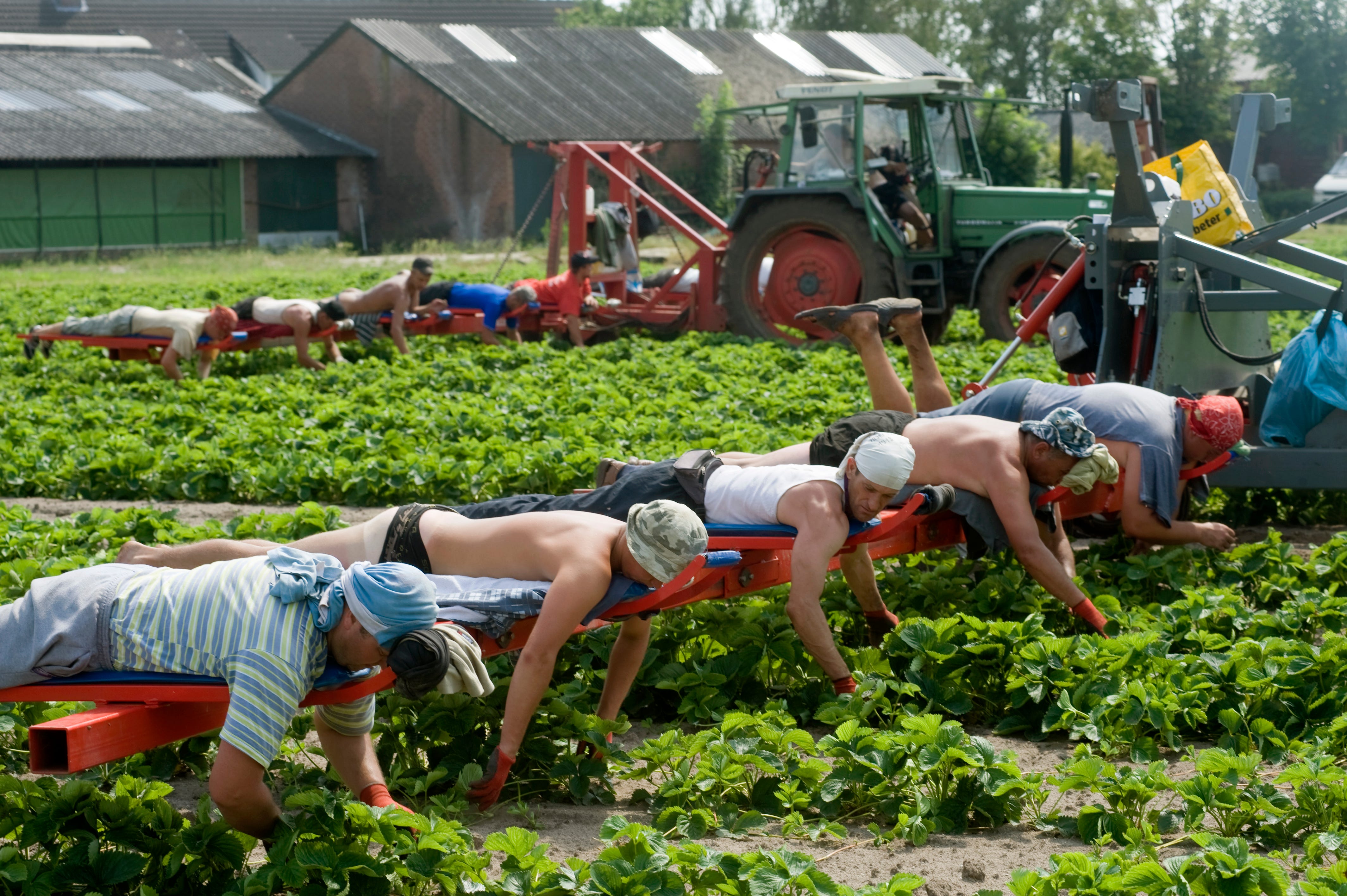 Arbeidsmigratie