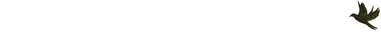 Dark silhouette of a bird mid-flight, wings fully spread in motion against a light background.