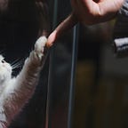 Des Silos En Trop (DSI, Métiers, Lean, Agile)