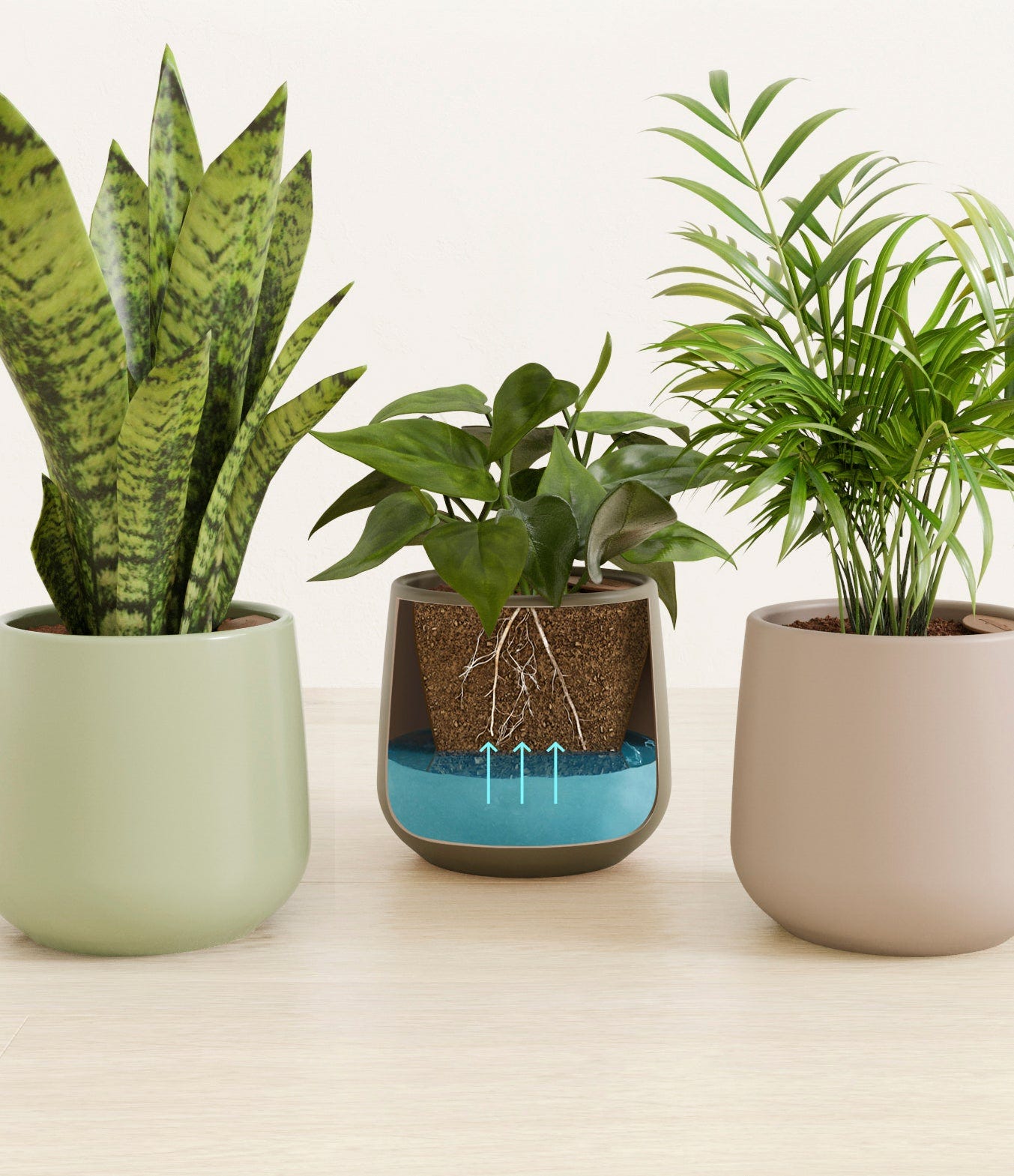 Self Watering Plant Collections & Bundles | easyplant