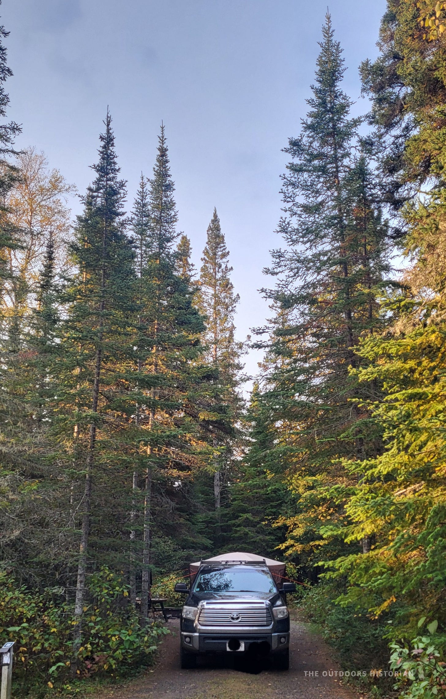 A black Tundra parked at a campsite in the tall spruces at Pukaskwa. A Clam Tent is just visible in the background behind the Tundra.
