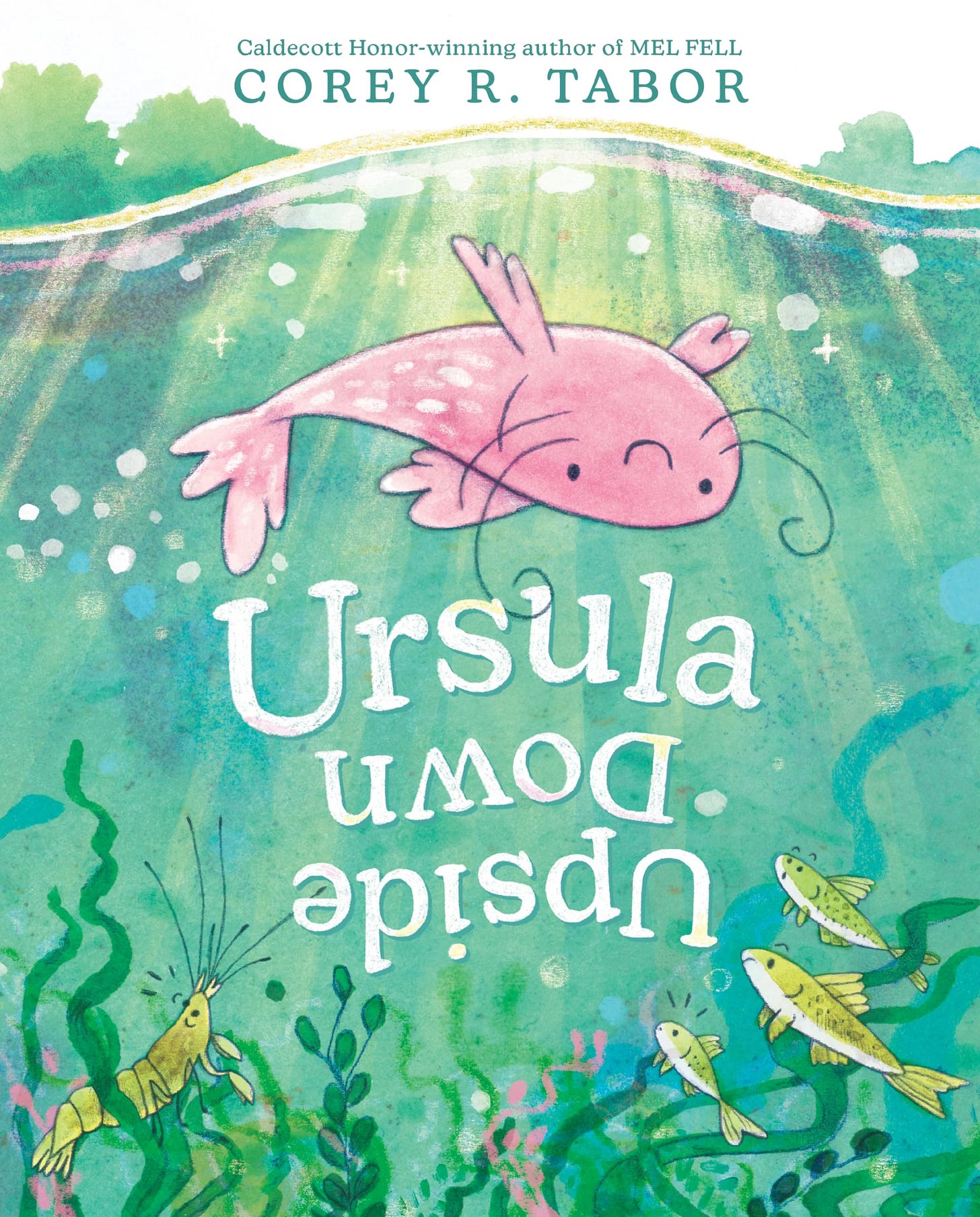 Ursula Upside Down [Book]