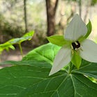 Seeing with New Eyes