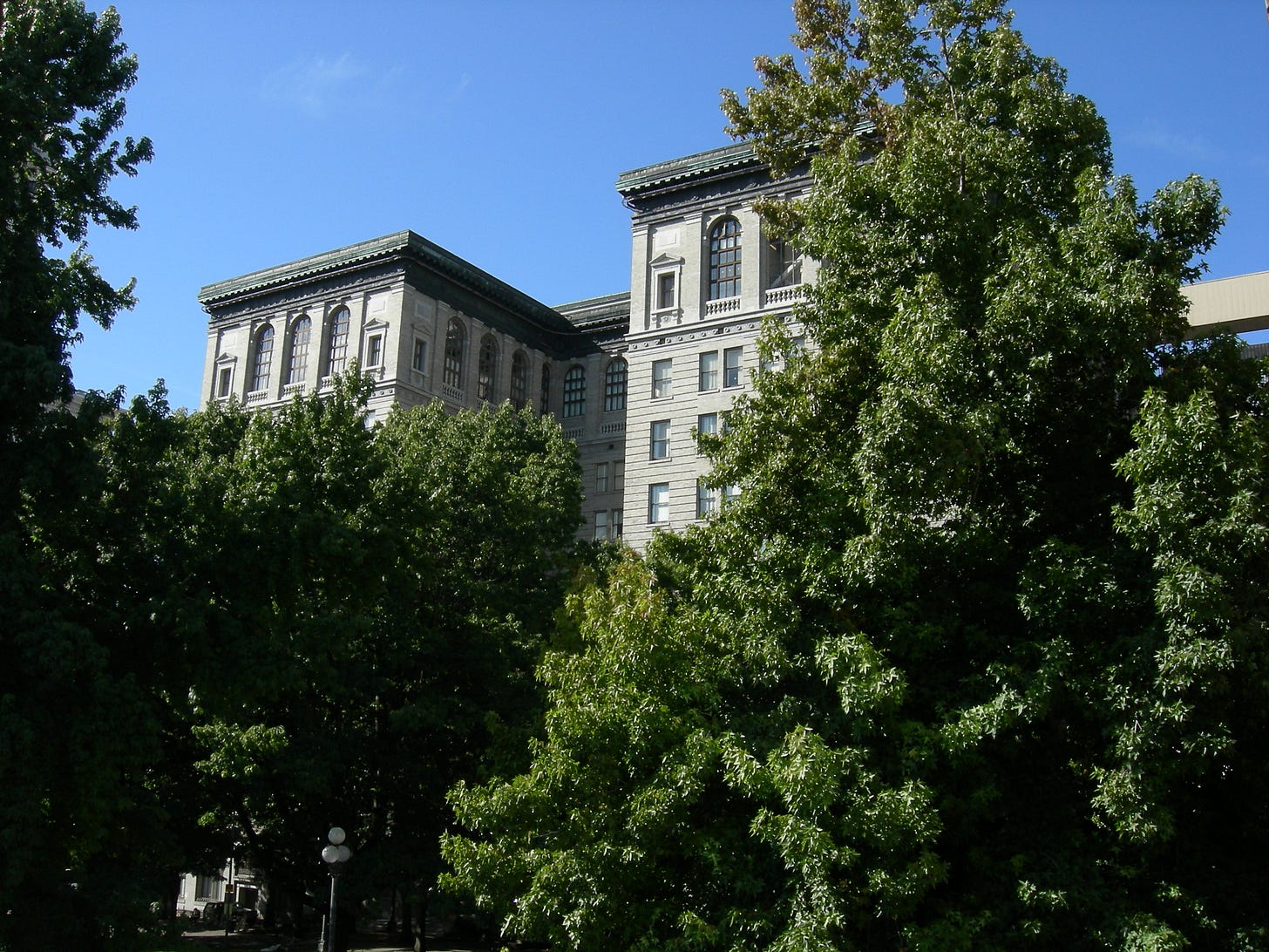 A large stone courthouse building rises above dense green trees in downtown Seattle. The gray, classical-style structure features tall arched windows and decorative cornices, while the foreground is filled with leafy trees from City Hall Park beneath a clear blue sky. A large stone courthouse building rises above dense green trees in downtown Seattle. The gray, classical-style structure features tall arched windows and decorative cornices, while the foreground is filled with leafy trees from City Hall Park beneath a clear blue sky.