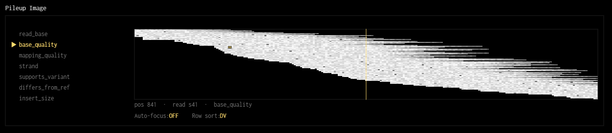 Base quality values represented as a grayscale image Base quality values represented as a grayscale image