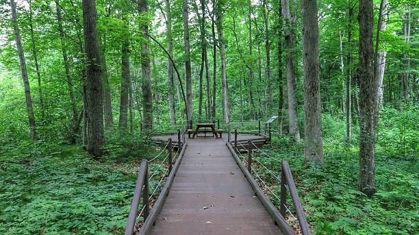 Saratoga National Historical Park Forest Boardwalk, Picnic Table, New York Beautiful forest setting with a boardwalk platform built to tour the historical battleground of Saratoga within Saratoga National Historical Park, Schuylerville, New York. saratoga-national-historical-park stock pictures, royalty-free photos & images