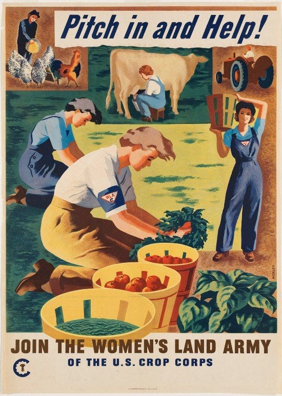 The Return of the Victory Garden