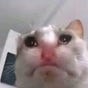 bananaanna's avatar