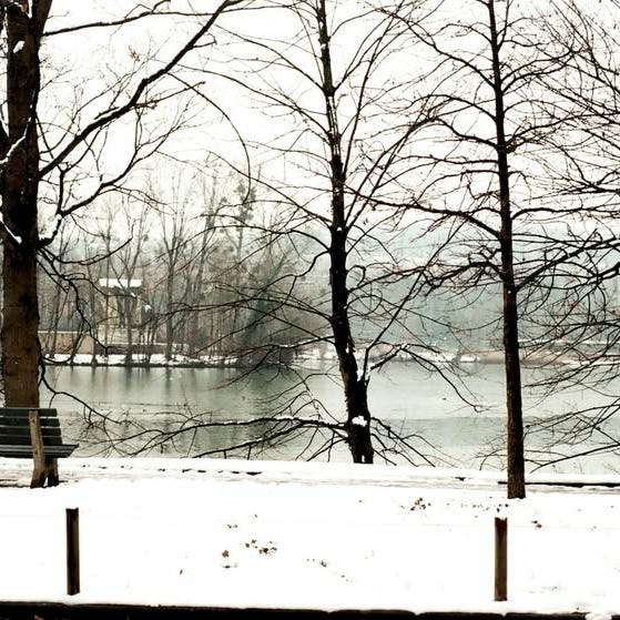 Rappresentaglie -R(esistenze) intellettuali