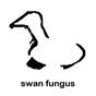 Evan LeVine's avatar