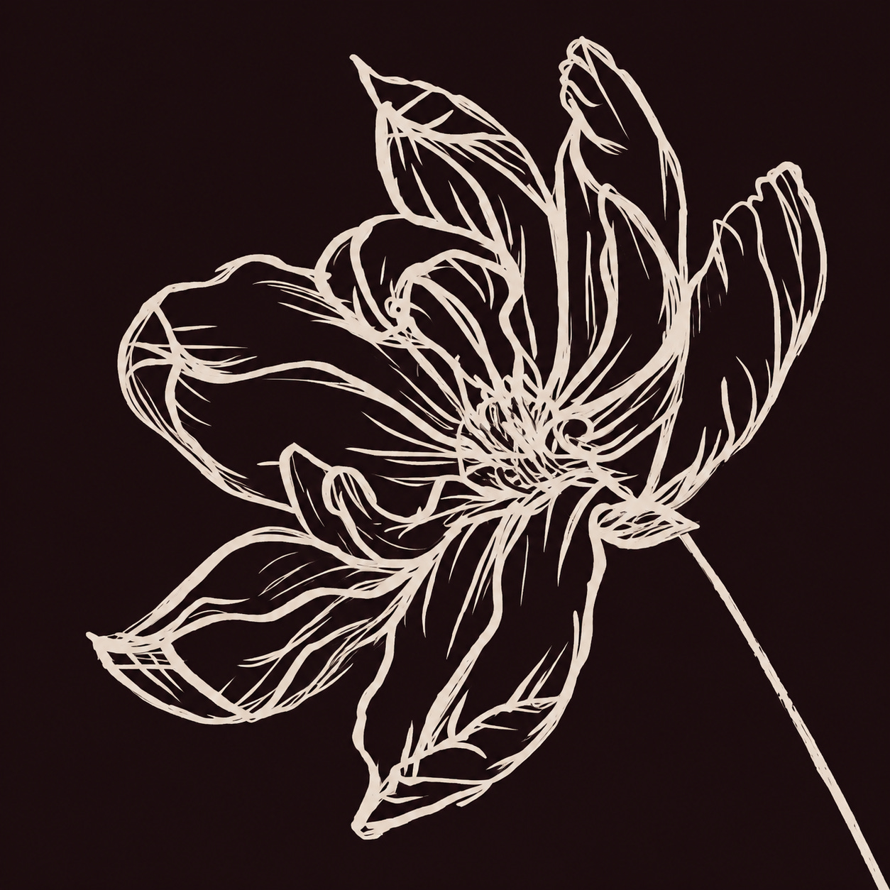 The Scents of Lily