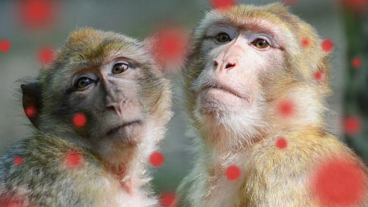 story-hero-img story-hero-img