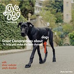 Drew Webster's K9 to 5