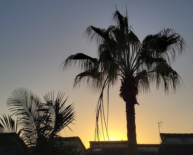 My Balcony View, copyright by author