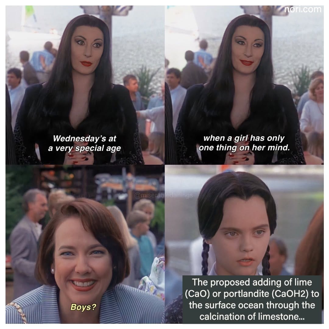 Four Addams Family Values stills. Morticia: "Wednesday's at a very special age", "when a girl has only one thing on her mind." Debbie: "Boys?" Wednesday: "The proposed adding of lime (CaO) or portlandite (CaOH2) to the surface ocean through the calcination of limestone..."