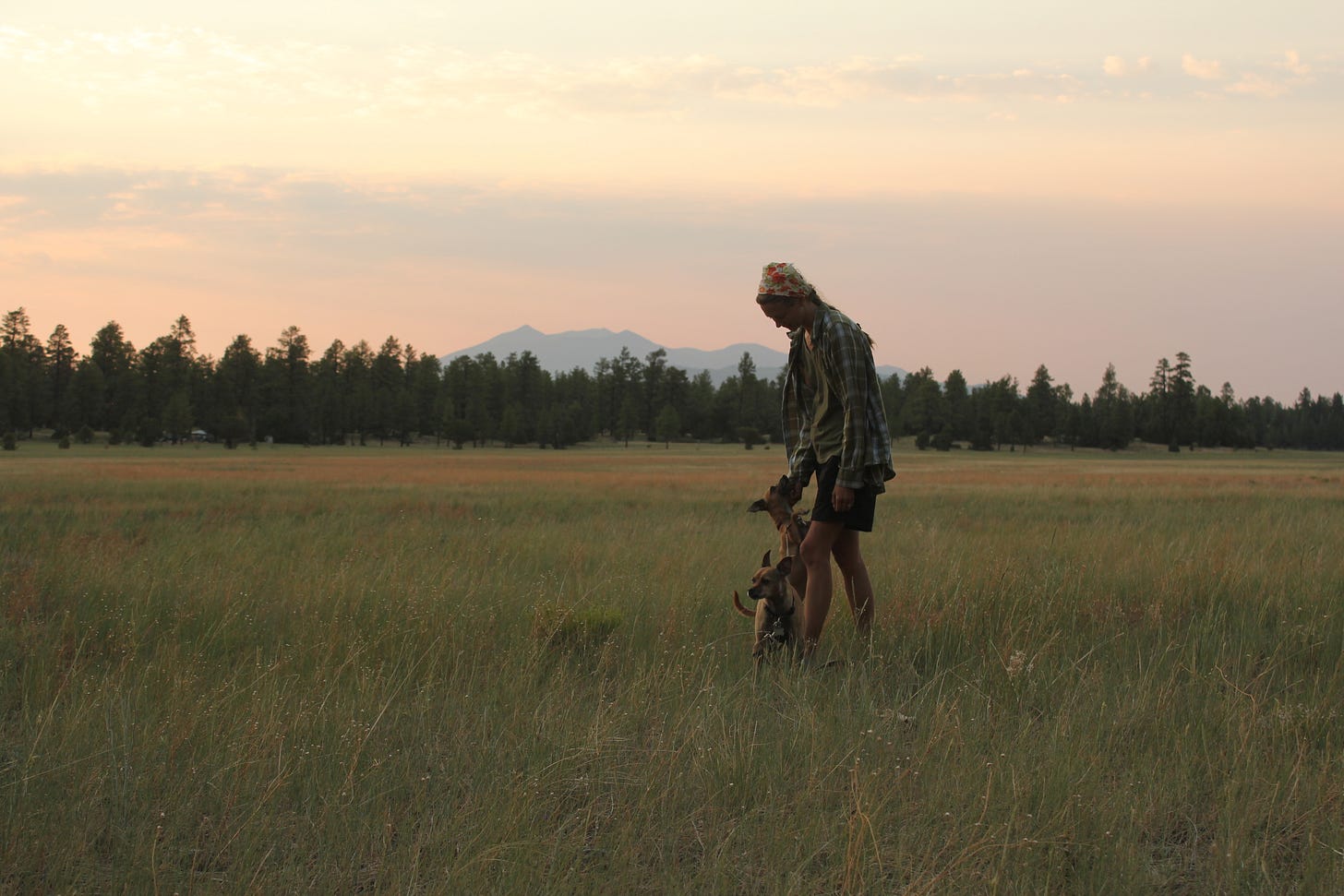 two dogs and a woman standing in a grassy field with a forest and mountains in the background