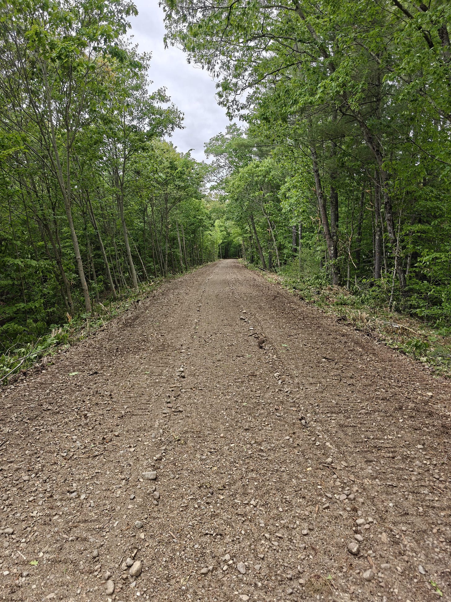 A Trek Along the Cocheco Railroad
