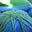 Thuja's avatar