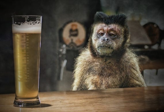 Drunk monkey art with a variety of sizes you'll love. Explore Now!