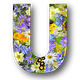 Unmanned