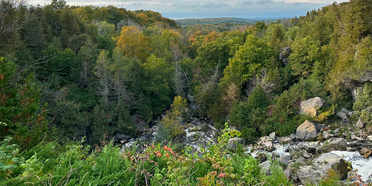Between Our Steps: The Consequences of a Hot, Dry Summer in Grey & Bruce