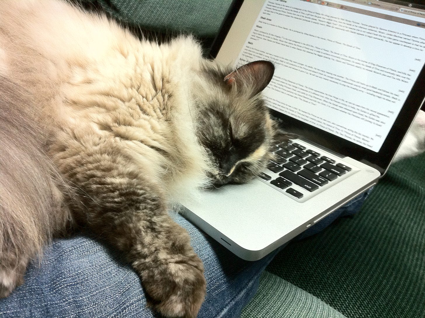 Fluffy white cat lying on a laptop keyboard