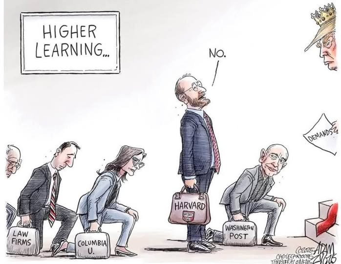 No photo description available.