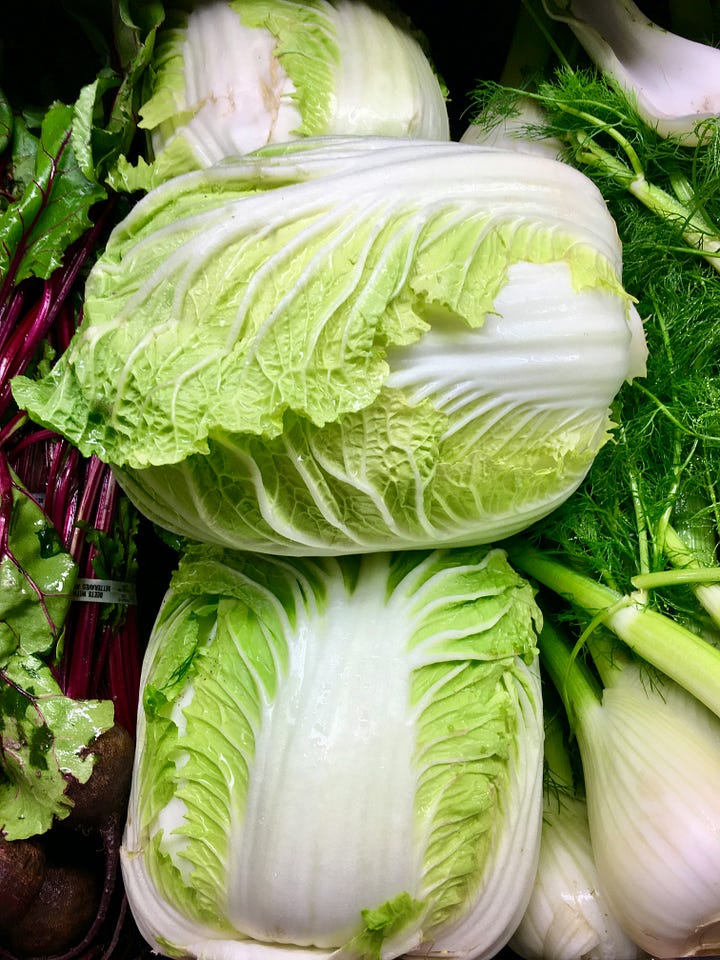 cabbage rolls and napa cabbage