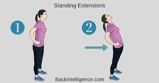 Herniated Disc Exercises For Lower Back ...
