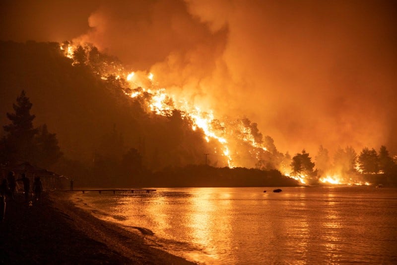 Flames rise as a wildfire burns in the village of Limni, on the island of Evia, Greece, August 6, 2021. REUTERS/Nicolas Economou Flames rise as a wildfire burns in the village of Limni, on the island of Evia, Greece, August 6, 2021. REUTERS/Nicolas Economou