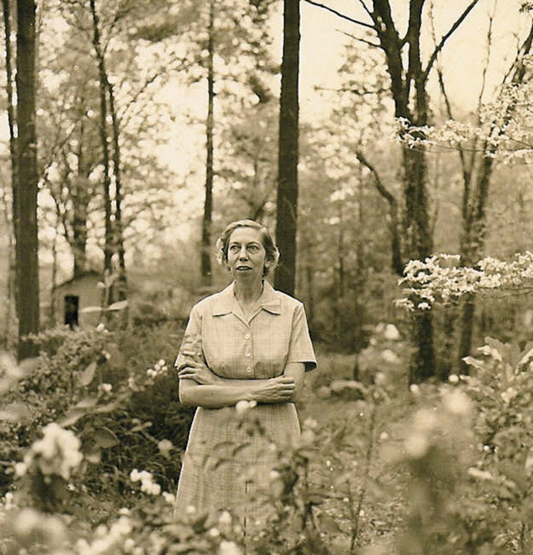 Author Frances Mayes's Ode to Eudora Welty – Garden & Gun Author Frances Mayes's Ode to Eudora Welty – Garden & Gun