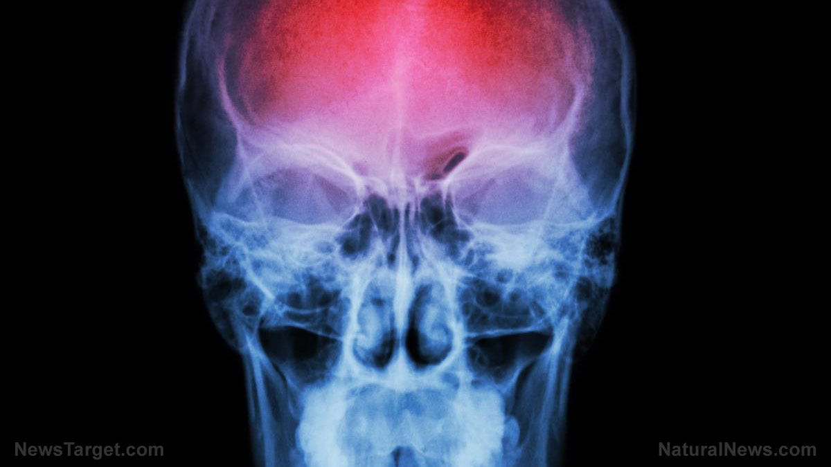 lionessofjudah.substack.com