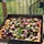 Maple Leaf Supper Club and Pizza Palace