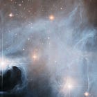 A Thomistic Philosophical Anthropology (Part 1) 