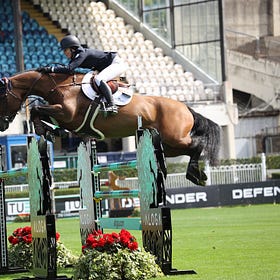 Fantastic show jumping at Dublin Horse Show