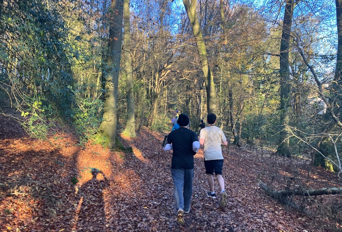 Running on leaves between tall trees