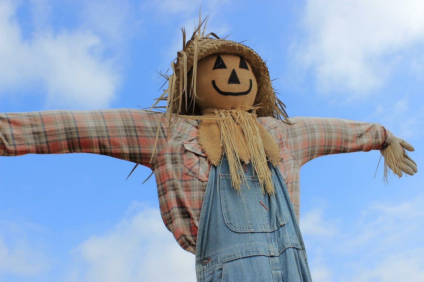 Definition and Examples of the Straw Man Fallacy