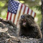 The Political Orphanage