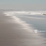 AWAKEN with Michelle 