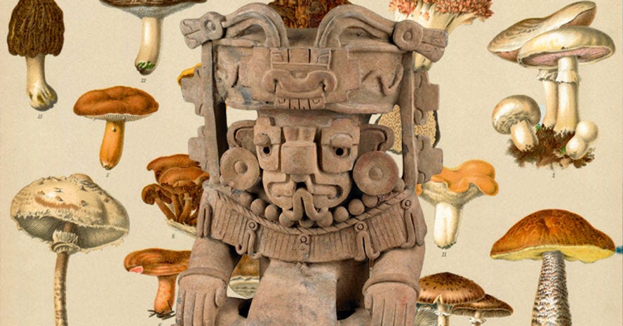 Montagem: Alex Chagas