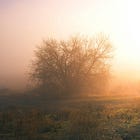 Awakening