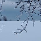 On being gentle and patient