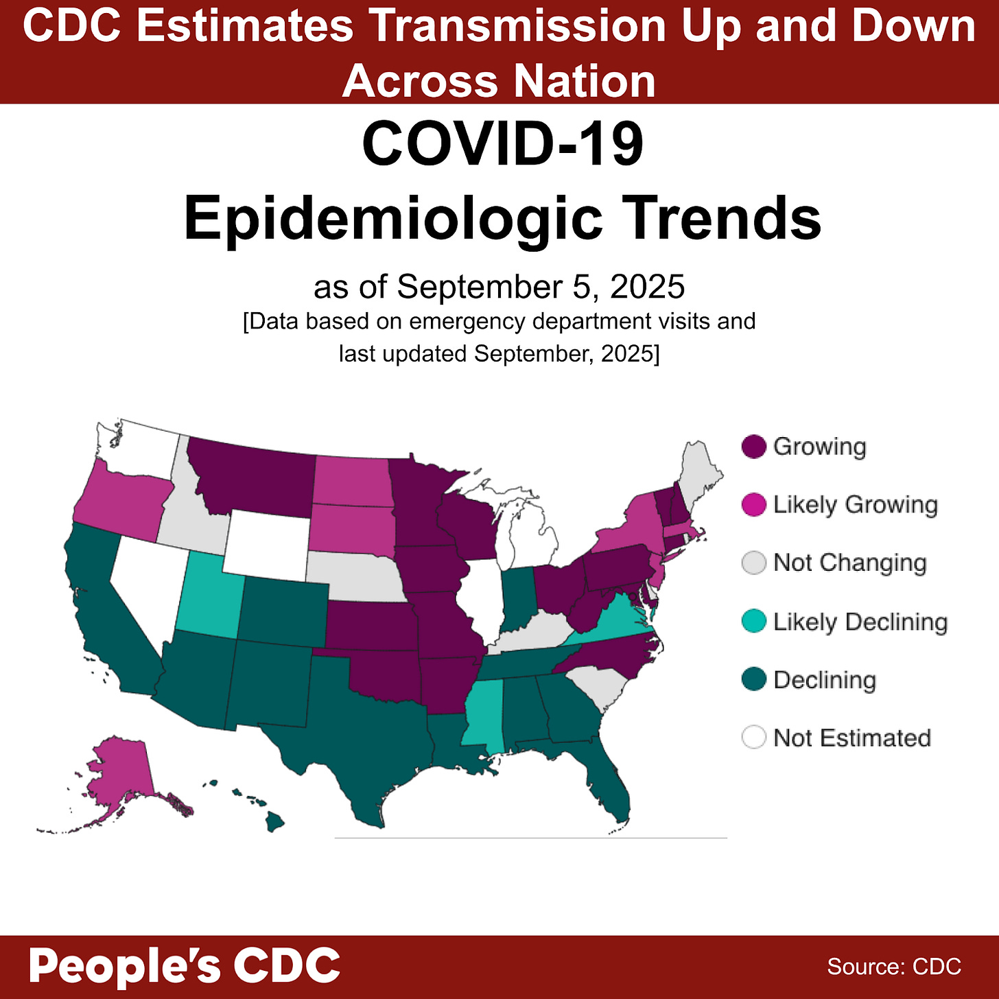 A map of the United States color-coded in shades of purple and gray displaying the CDC COVID Model: Current Epidemic Growth Status based on emergency department visits as of September 5, 2025, where purple tones indicate growing or likely growing, teal tones indicate declining or likely declining, and gray indicates “Not Changing.” States without predictions are represented in white. Text above the map reads “CDC estimates transmission up and down across nation.” Fifteen states are light to dark teal and have “Declining” or “Likely Declining” status. Twenty-four states are light to dark purple and have “Likely Growing” Status. Seven states and territories are “Not Changing” and four states are “Not Estimated.” Text at the bottom reads “People’s CDC. Source: CDC.”