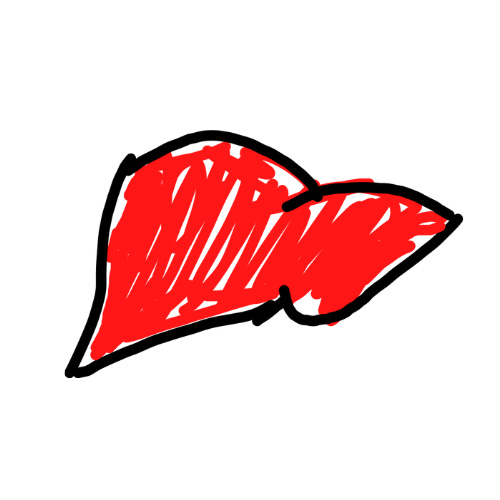 Substack profile picture for @lobe