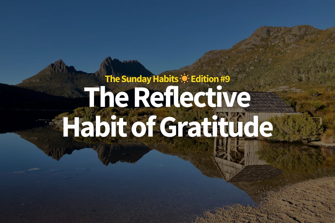 The Reflective Habit of Gratitude 🦘