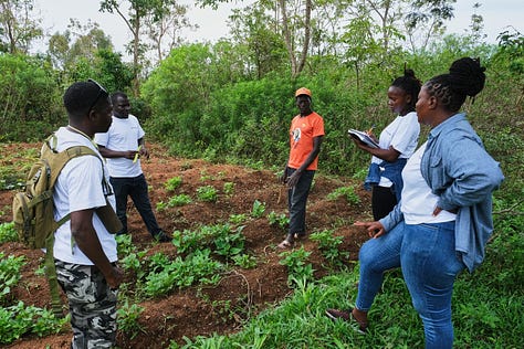 Field Visit